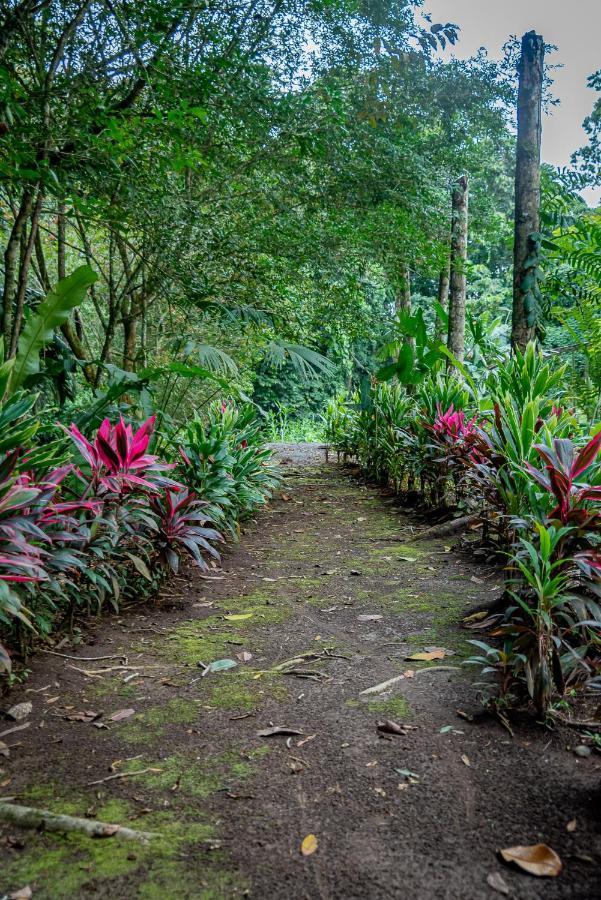 Hotel Los Rios Guácimo Exteriör bild