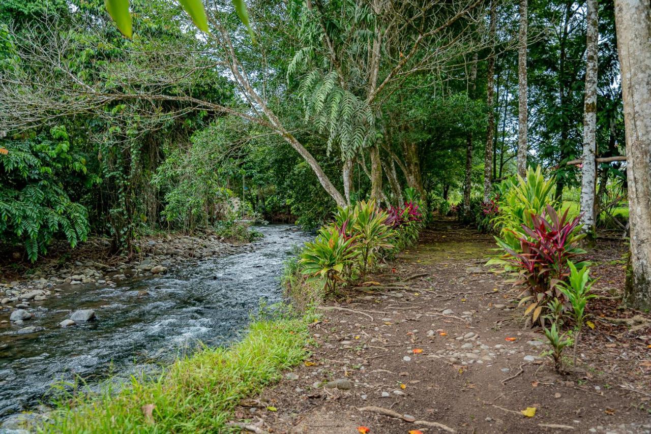 Hotel Los Rios Guácimo Exteriör bild